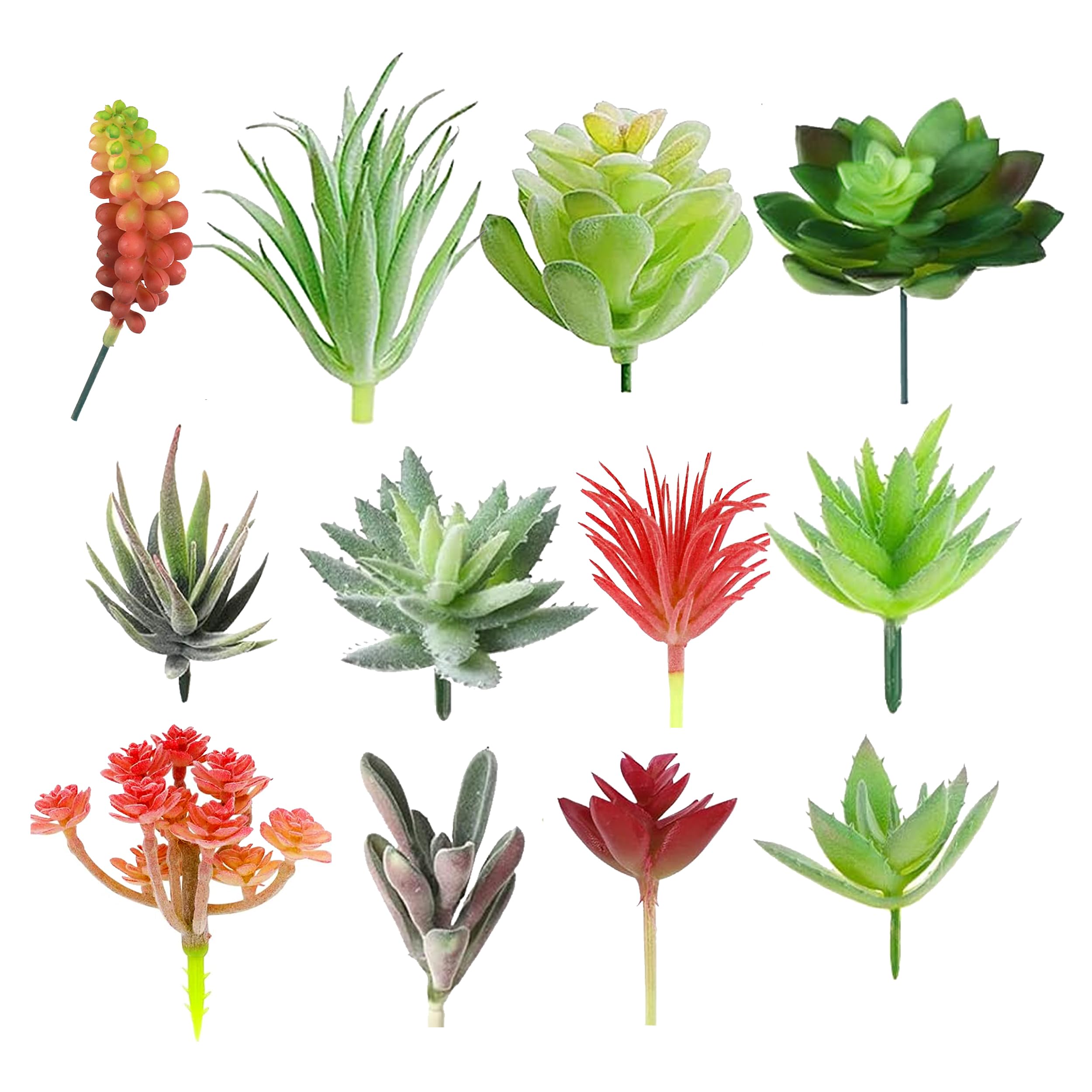 TIED RIBBONS Plastic Pack Of 12 Artificial Succulent Plants Flowers (Multi, Pot Not Included) For Home Decor Office Table Vase Garden Indoor Outdoor Floral Arrangement Diy Decorations Items (B0CJY9CV9K) Amazon Price History, Amazon Price Tracker