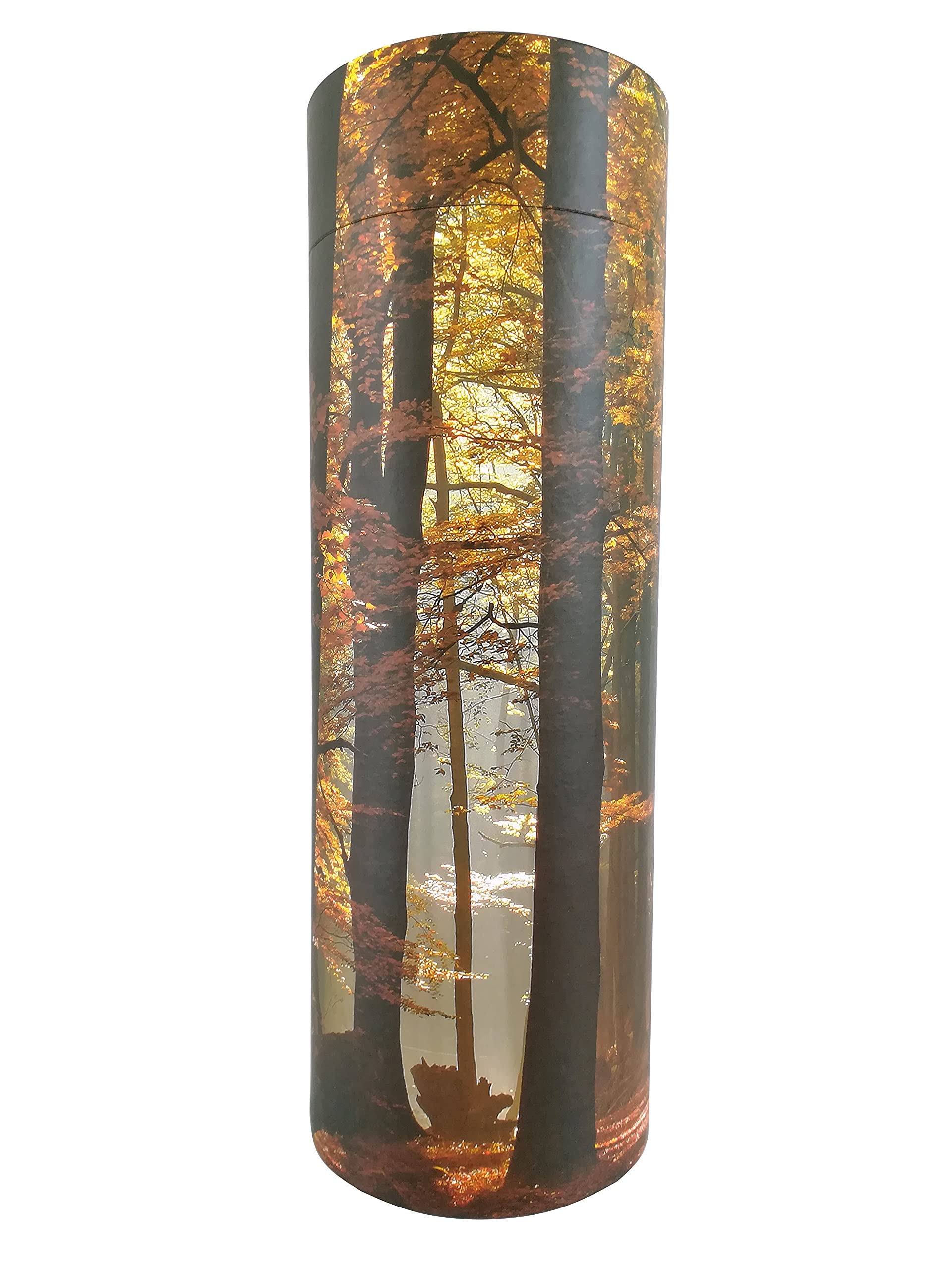 Scatter Tube for Ashes, Autumn Woods Forest, Cremation Urns, Adult child Pet (Large)