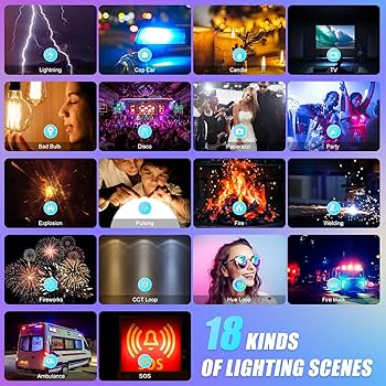 81rK0yGSrcL._AC_UF350,