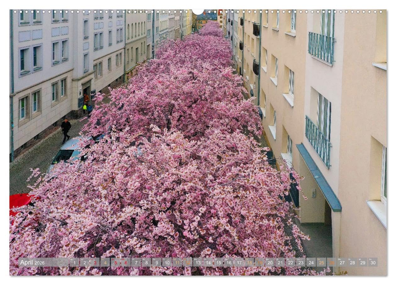 HALLE SAALE GEDROHNT 2026 (hochwertiger Premium Wandkalender 2026 DIN A2 quer), Kunstdruck in Hochglanz: Ungewöhnliche Sichten der Stadt Halle mit der Drohne aufgenommen. (CALVENDO Orte)