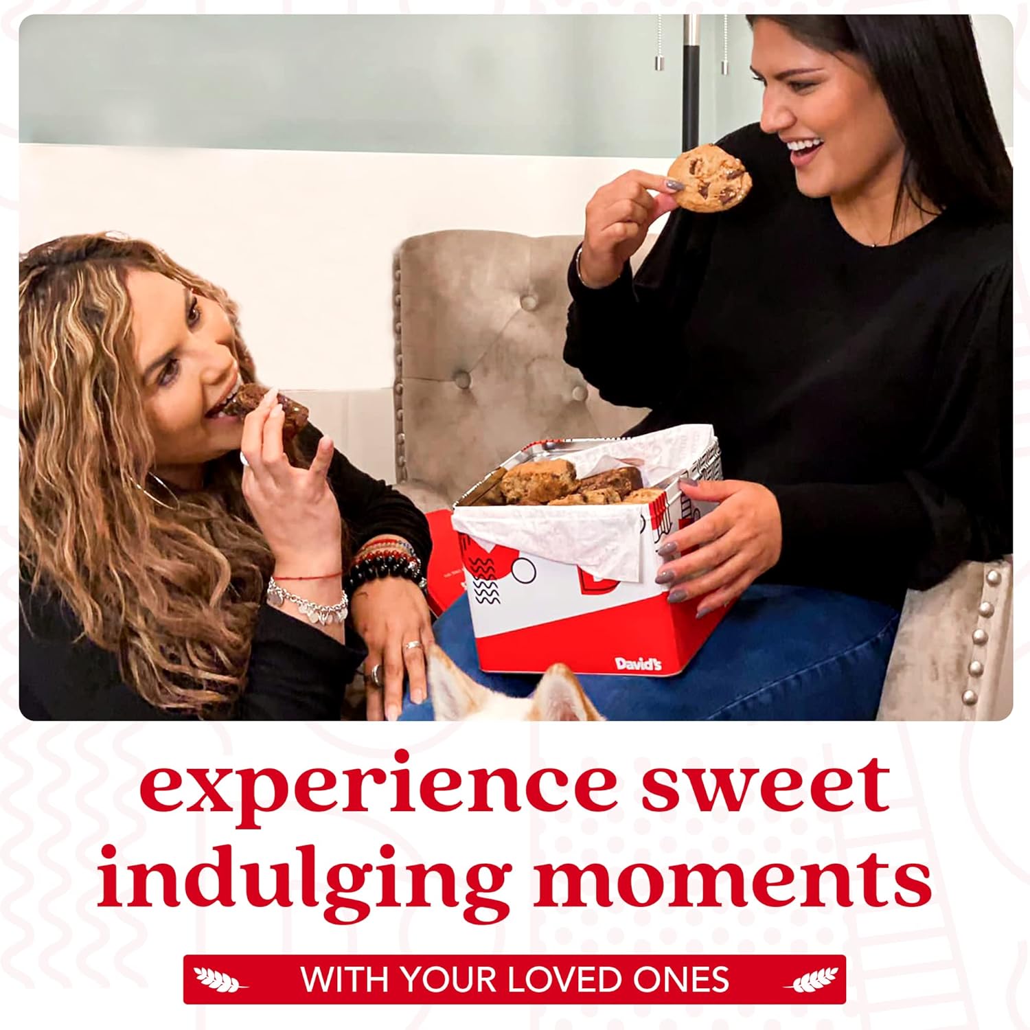 David's Cookies 5lb Assorted Cookies & Brownies Tin Gift Basket – Fresh-Baked Delicious Gourmet Treats for Sharing | Ideal Party Pack Gift Basket for Family, Friends, Holidays, & Special Occasions