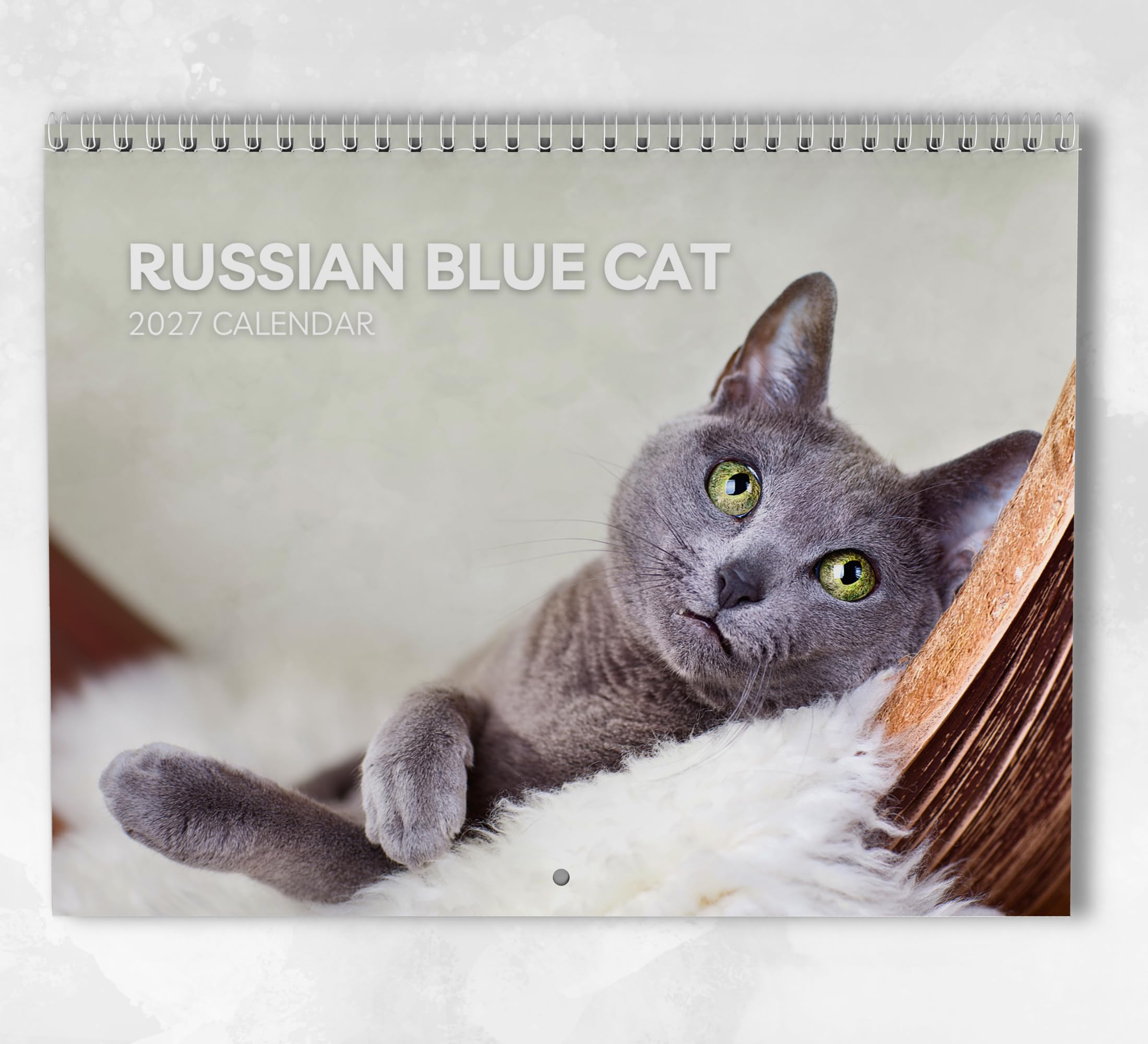 Russian Blue Cat Calendar 2027: Monthly Wall Calendar with Notes, Hanging A3 Size, Includes key dates & holidays