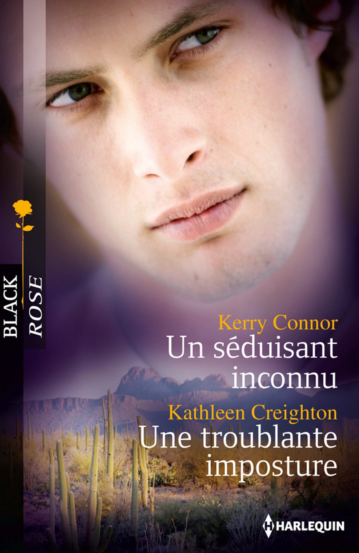Buy Un séduisant inconnu - Une troublante imposture (Black Rose) (French Edition) — BookShops.in