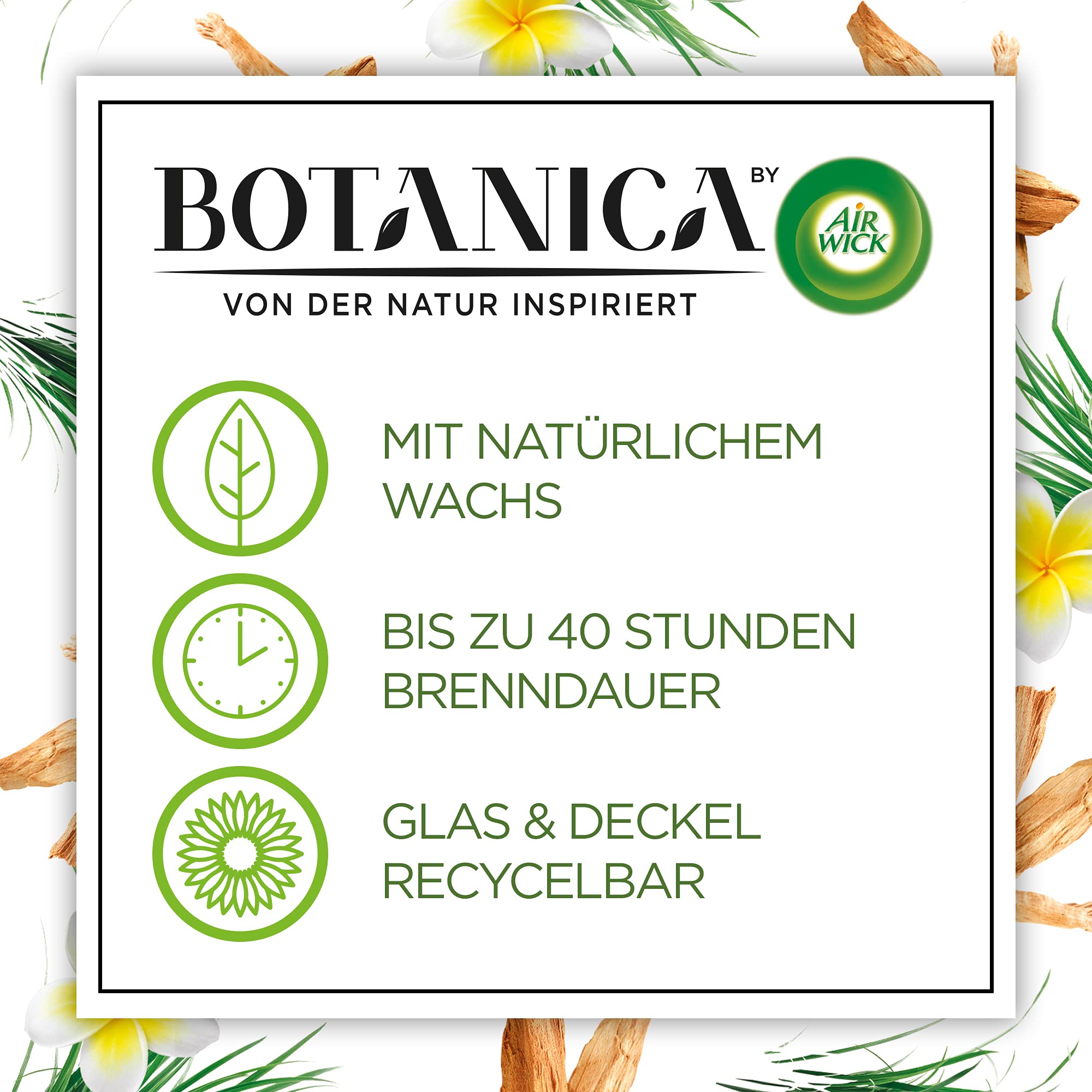 Botanica by Air Wick 6 candele profumate in barattolo – fino a 40 ore per candela – Fragranza: erba dolce e legno di sandalo – Prodotto in modo sostenibile con ingredienti naturali – 6 x 205 g candela