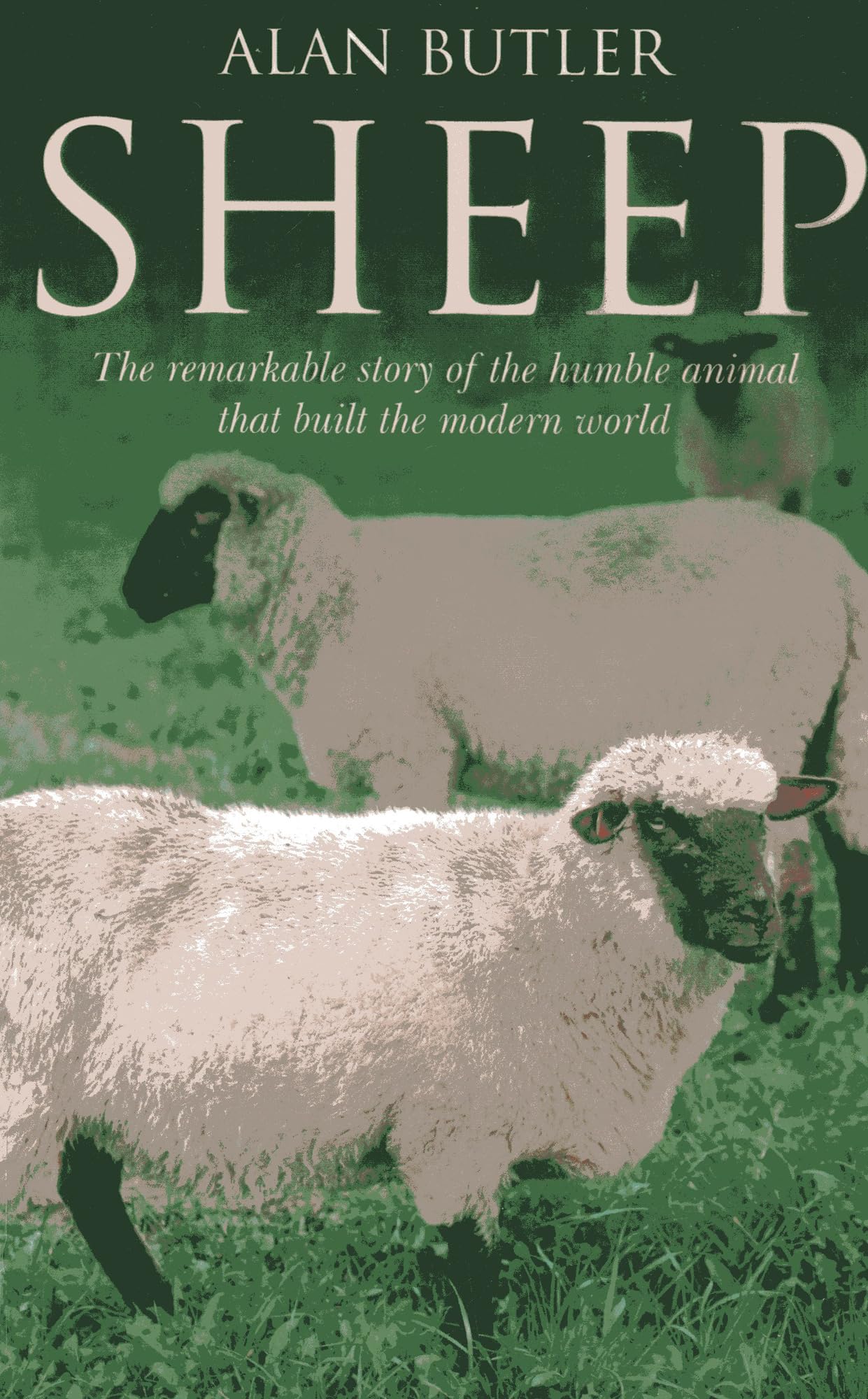 Sheep - The remarkable story of the humble animal that built the modern...
