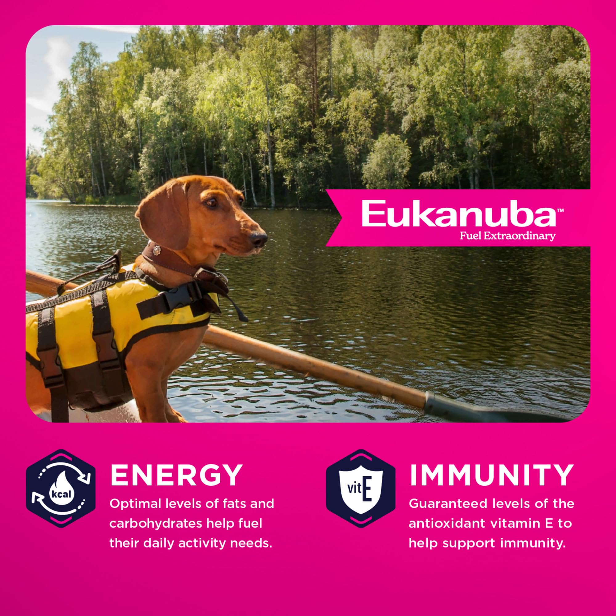 Eukanuba Adult seco Perro Alimentos
