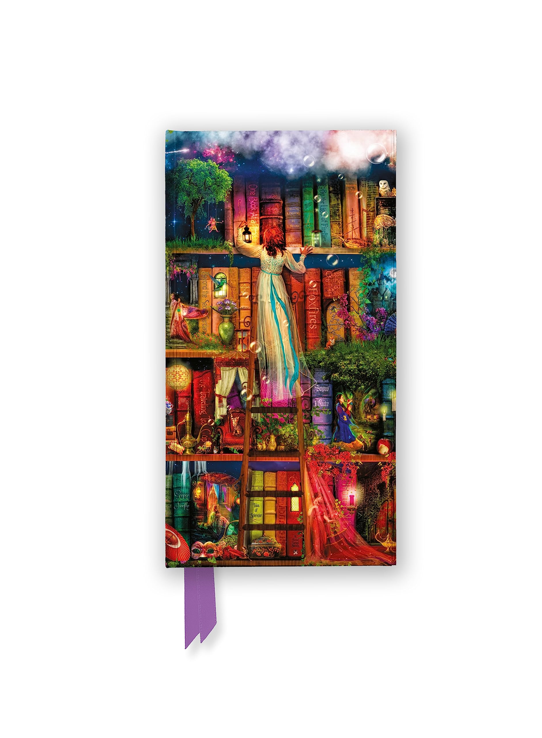 Aimee Stewart: Treasure Hunt Bookshelves (Foiled Slimline Journal) (Flame Tree Slimline Journals)