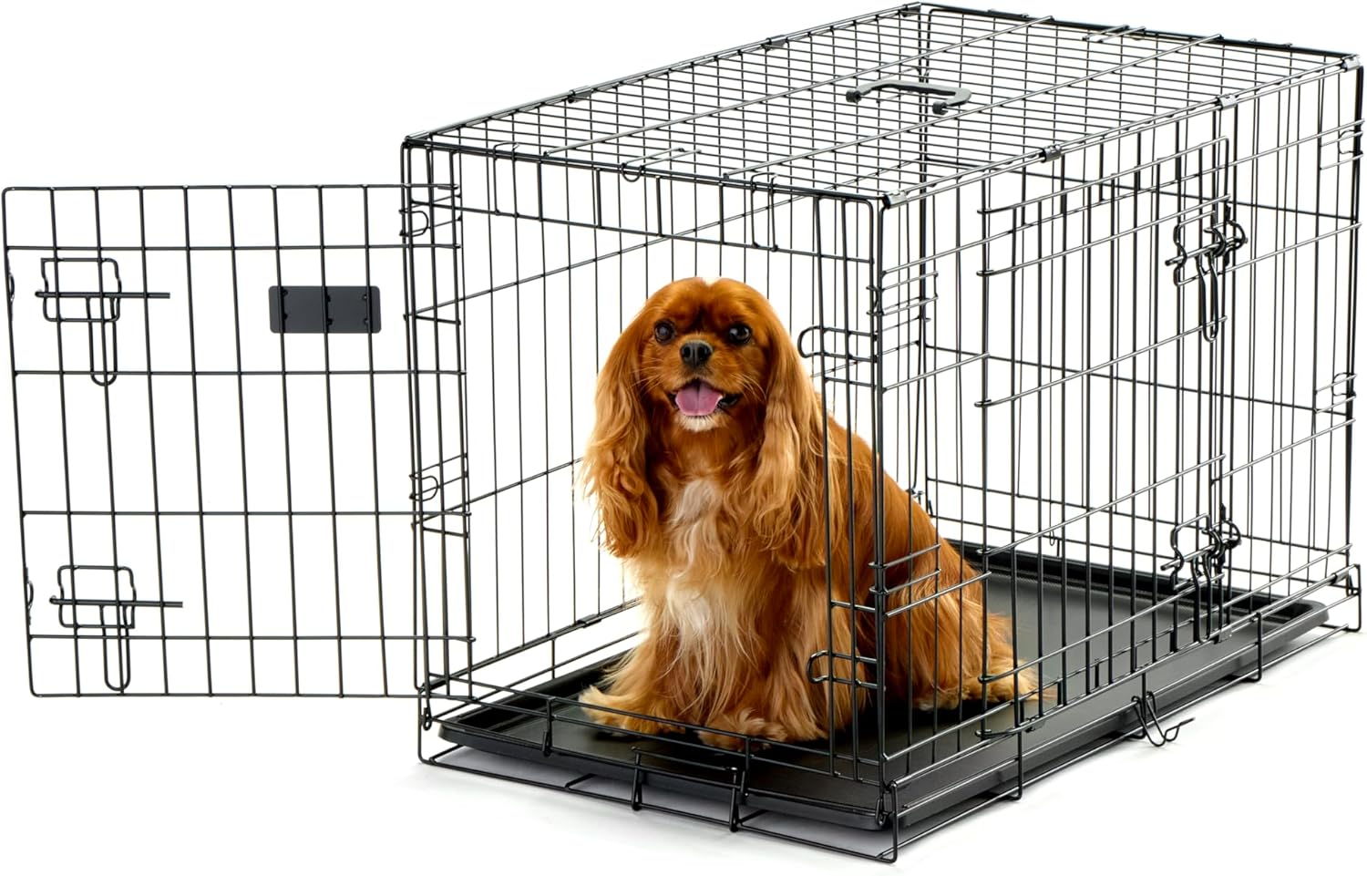 https://m.media-amazon.com/images/I/81rKh6gQ8+L._AC_SL1500_.jpg