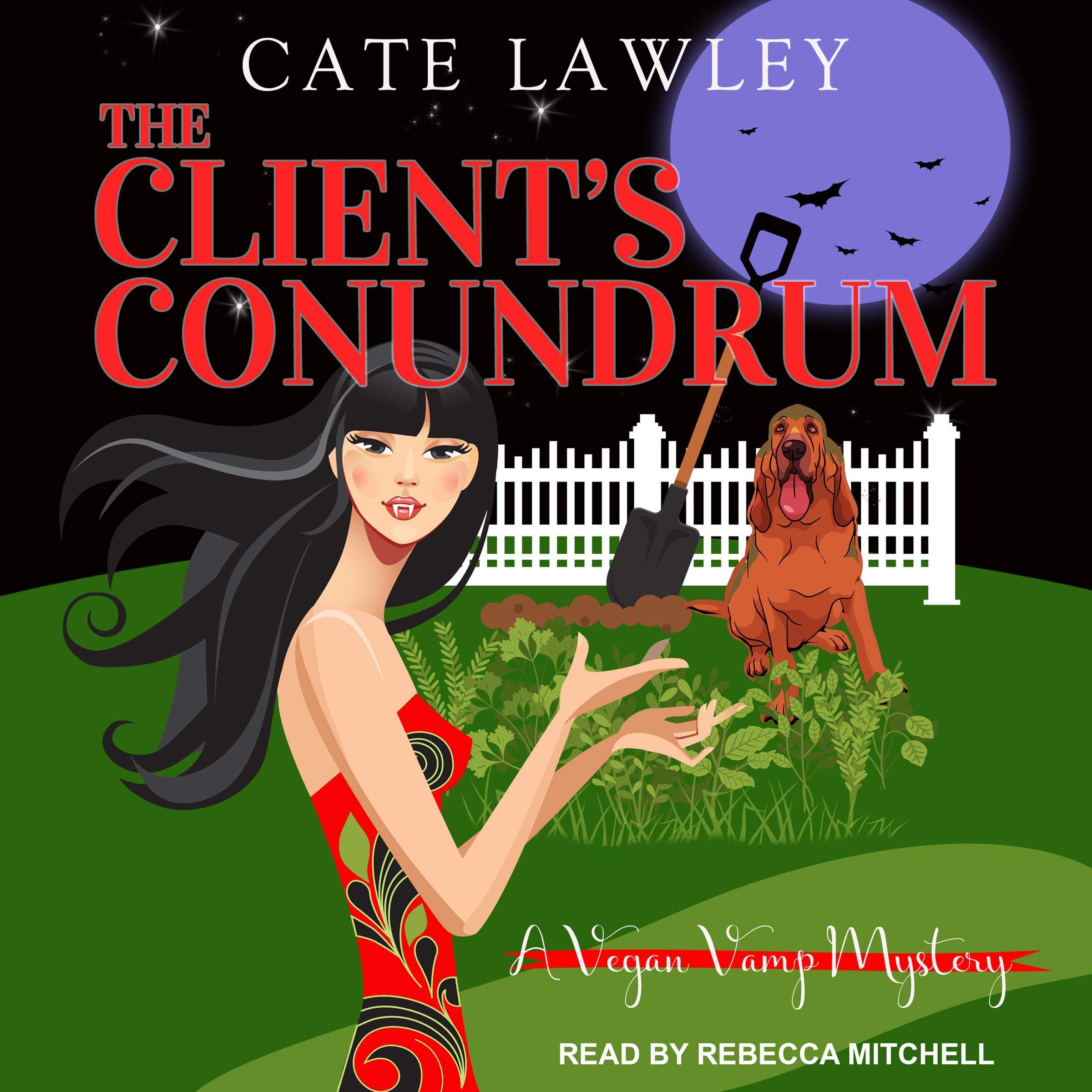 Cover art for The Client’s Conundrum