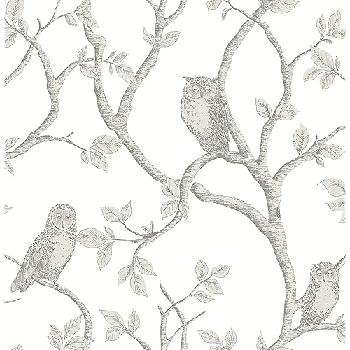 Brewster Wallcovering Co FD23289 Enchanted Forest Owl & Tree Wallpaper, Grey