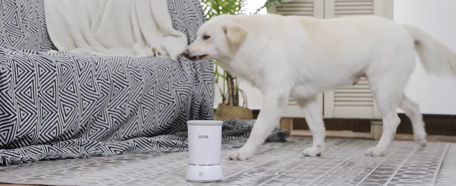 Lavazampe Automatico Per Cani - Ricarica USB, Pulizia 360° Senza Sbatti - Foto 6