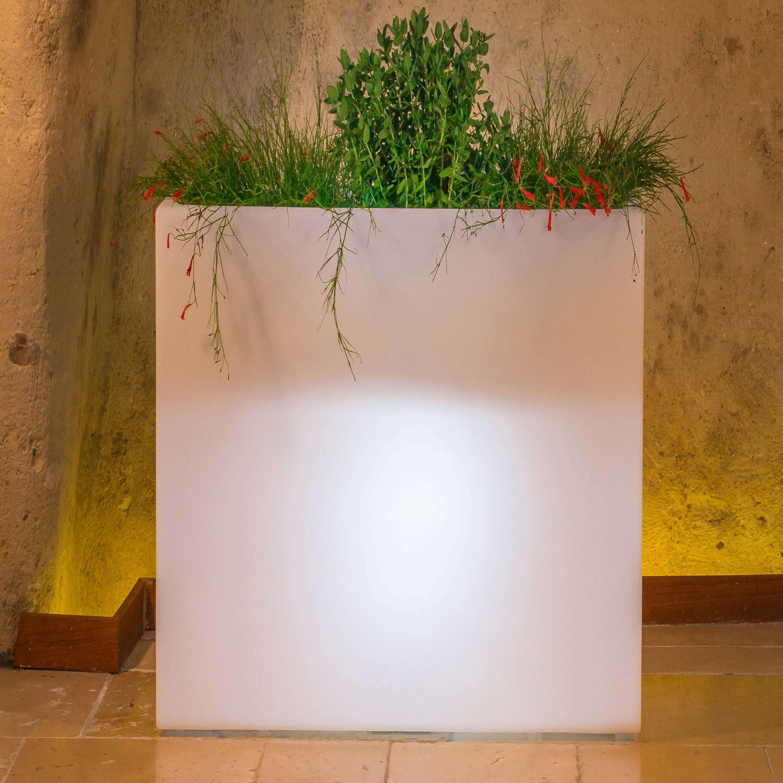 milani home - Vaso Luminoso da Esterno con Luce Bianca, 90 x 30 x 80 cm, per Giardino terrazzo e Ingresso