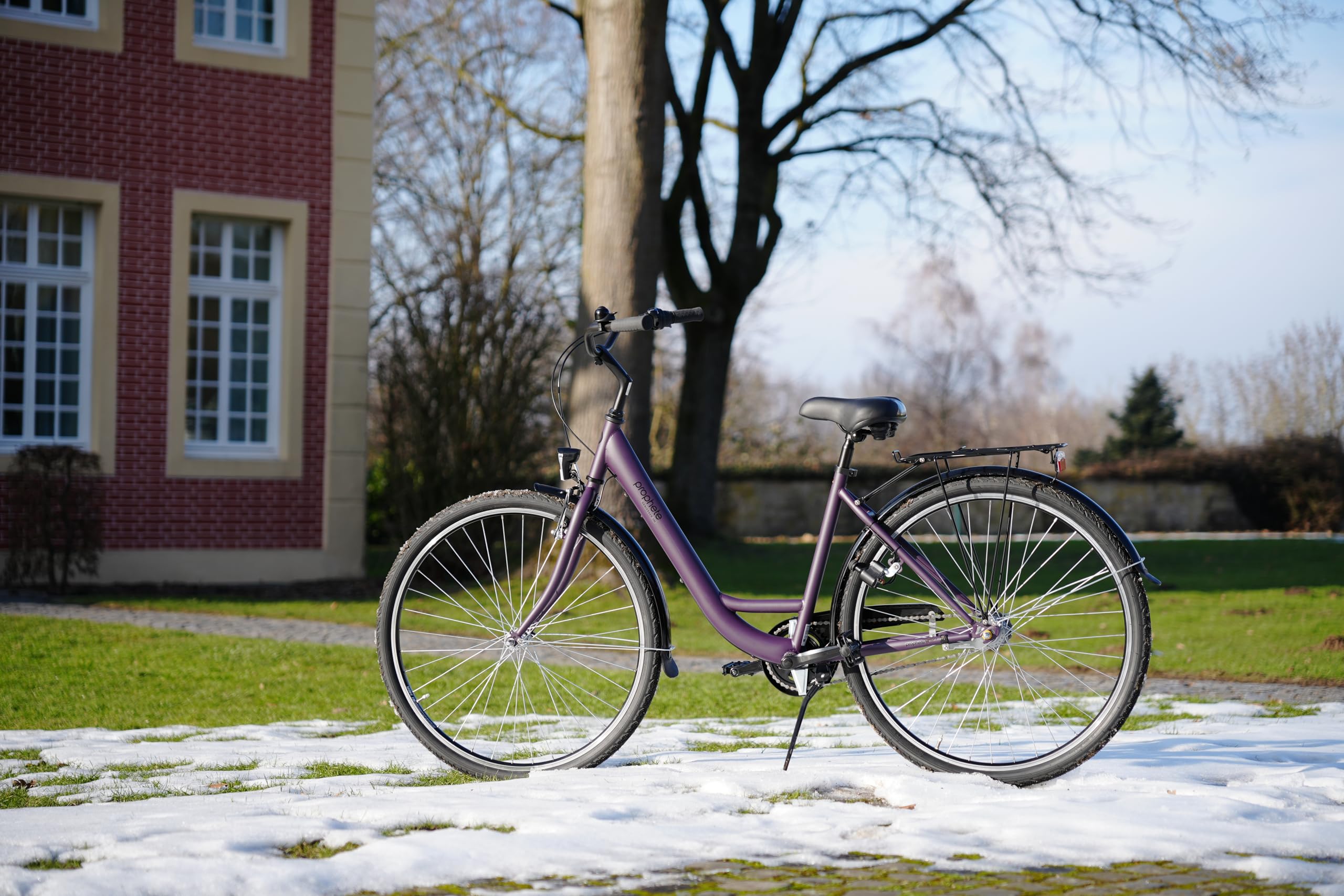 Prophete GENIESSER 100 28 Zoll Citybike Damen mit 3 Gang Nabenschaltung LED Beleuchtung Rücktrittbremse und V Bremse RH 46 cm Dark Purple matt