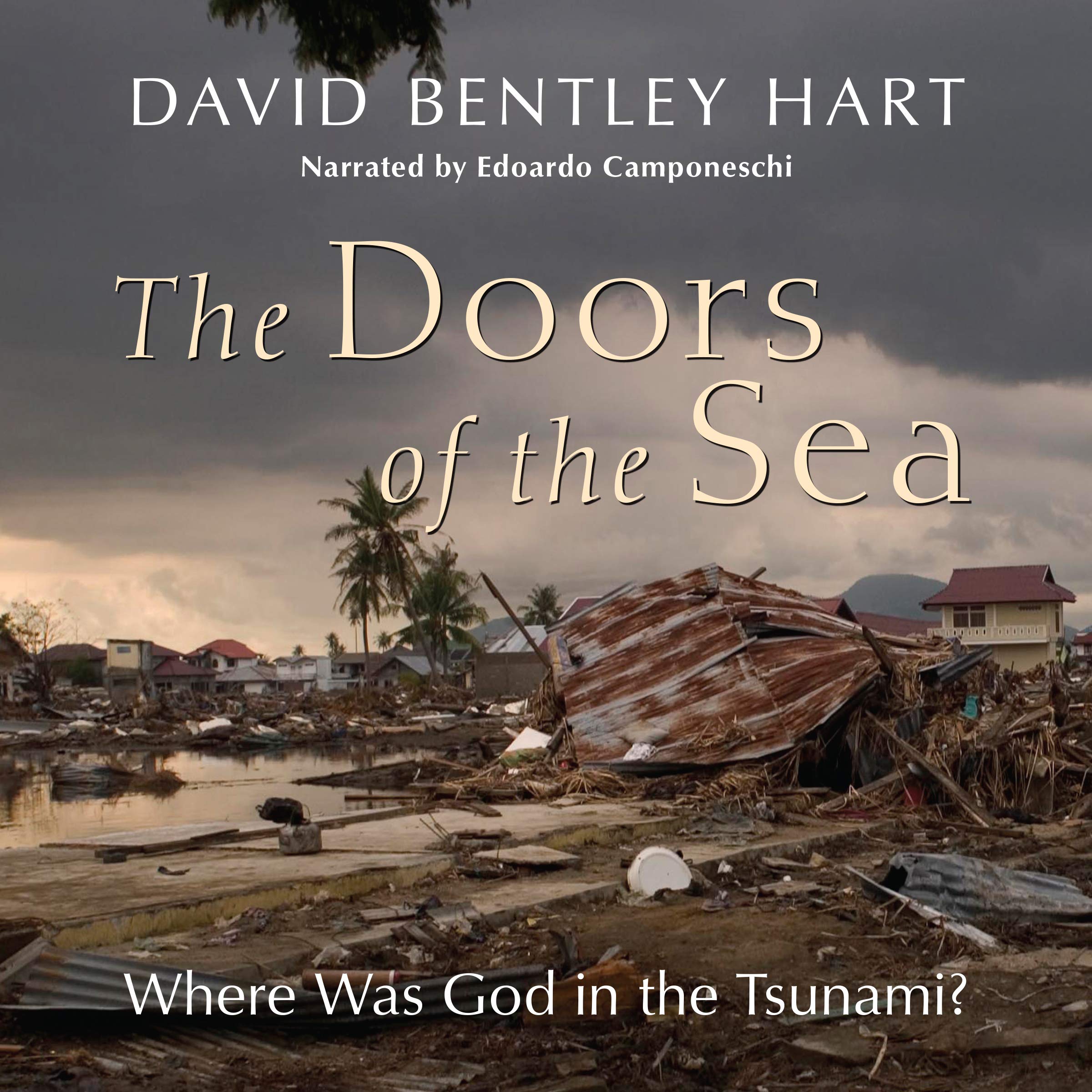 The Doors of the Sea: Where Was God in the Tsunami?