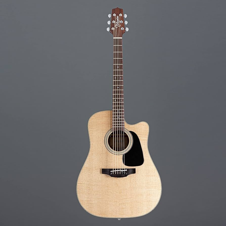 Amazon | Takamine タカミネ Pro Series 2 Dreadnought Cutaway