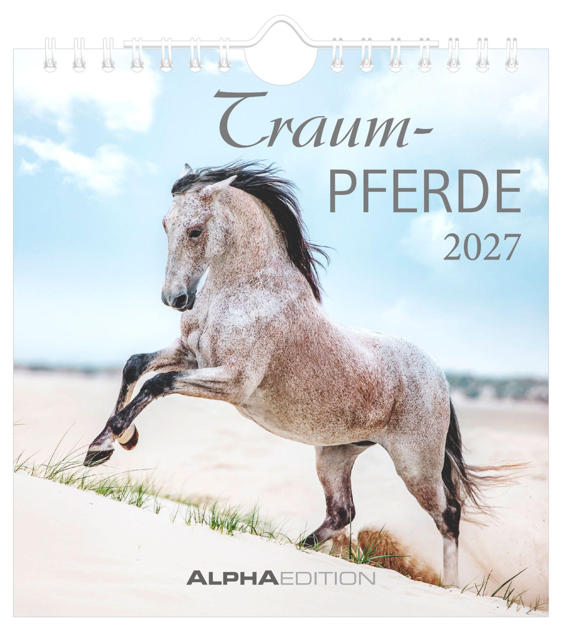 Traumpferde 2027: Postkartenkalender 16x17 cm mit 12 Pferdemotiven, Tisch- und Wandkalender, 12 Postkarten zum Heraustrennen