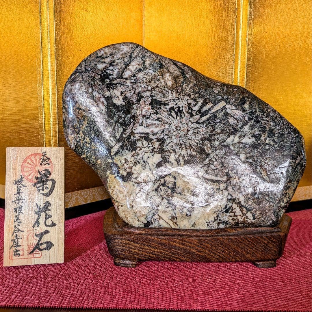 岐阜 菊花石 セット 水石 天然石 岐阜 菊花石 セット 水石 天然石