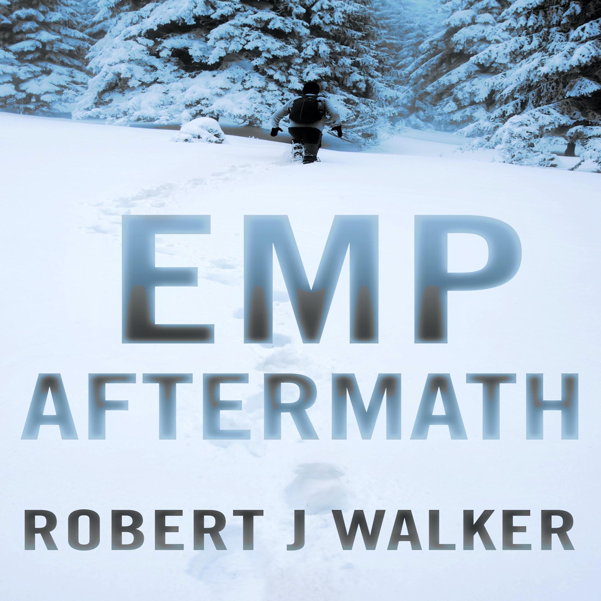 Cover art for EMP Aftermath