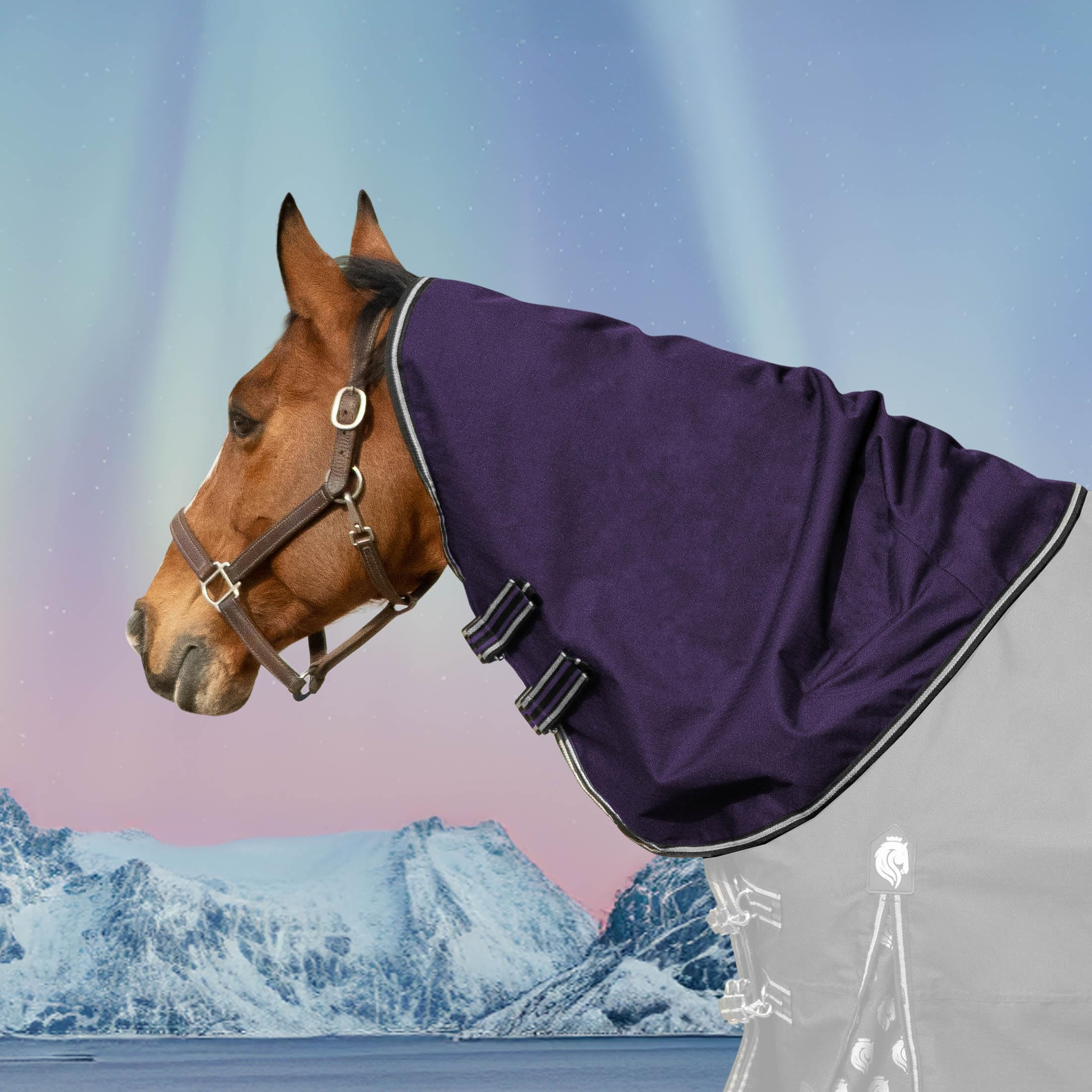 Equinavia Norse Turnout Neck Cover No Fill | 600 Denier - Grape Purple - M