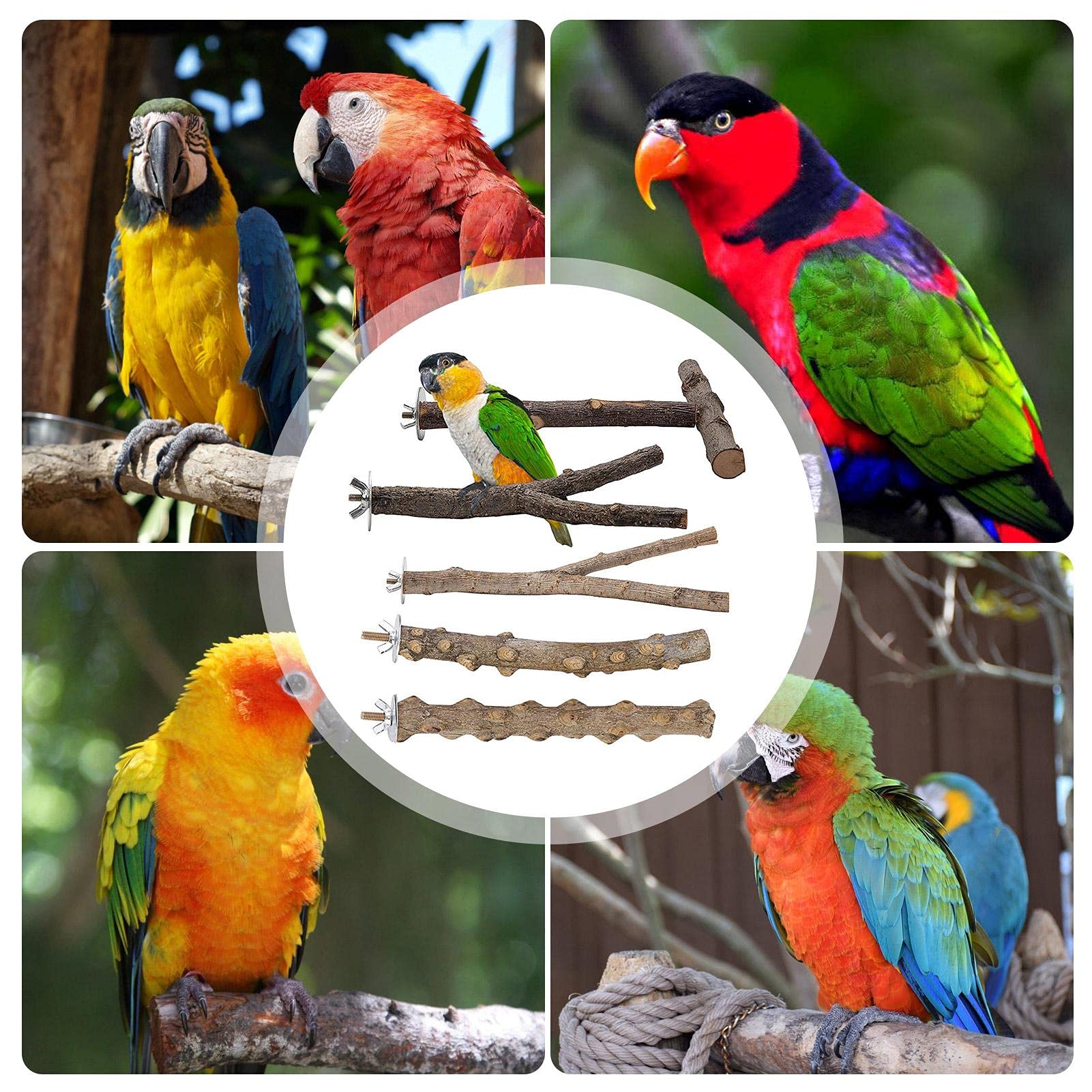 Amazon.co.jp: 鳥の止まり木 5個 ウッドバードパーチ 木製オウム