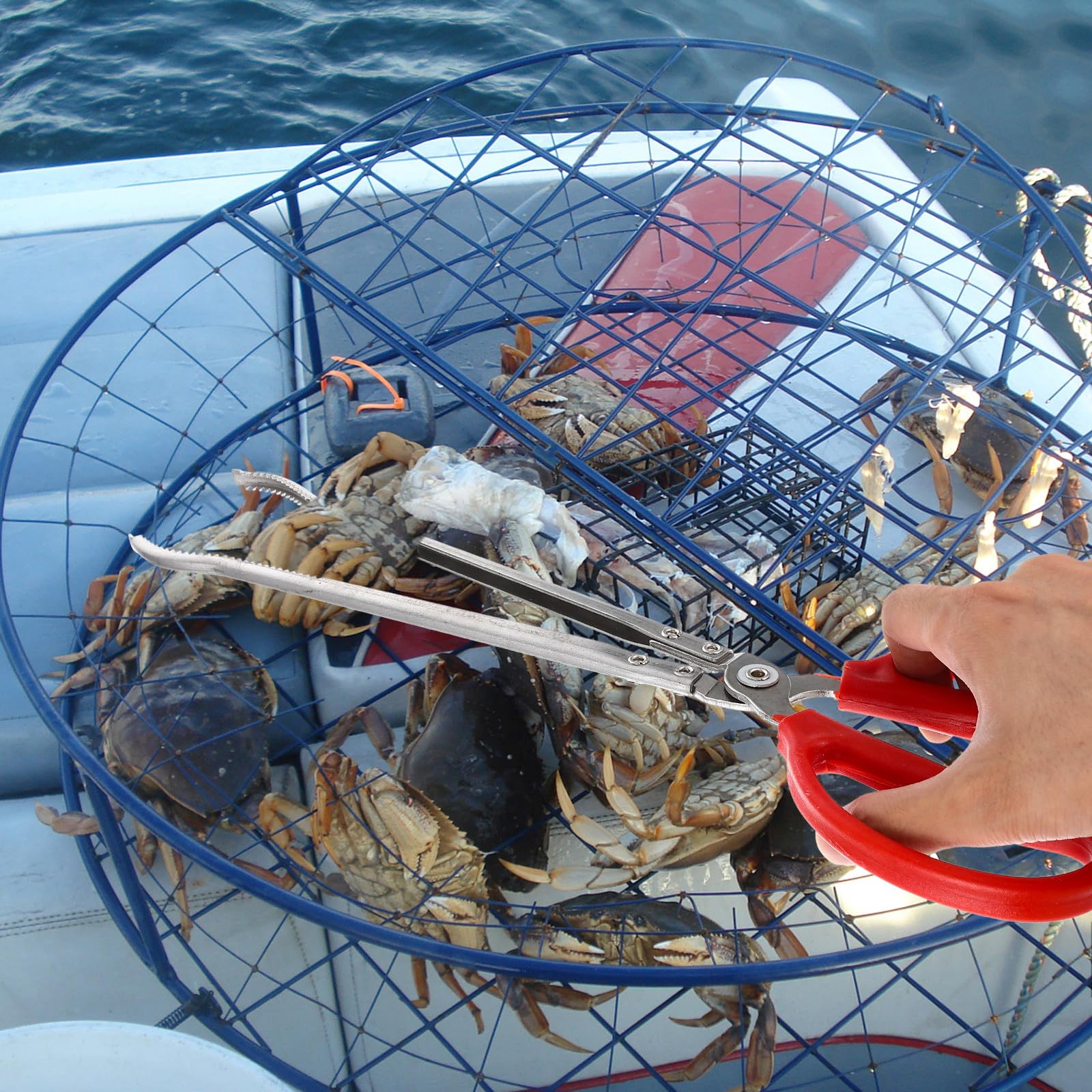 Lurrose Pinza Pescar al Aire Libre y Cangrejo Doméstica Multifunción Antideslizante Resistente Desgaste Adecuado Captura Cangrejos Peces Barro Marisco en Actividades Acuáticas