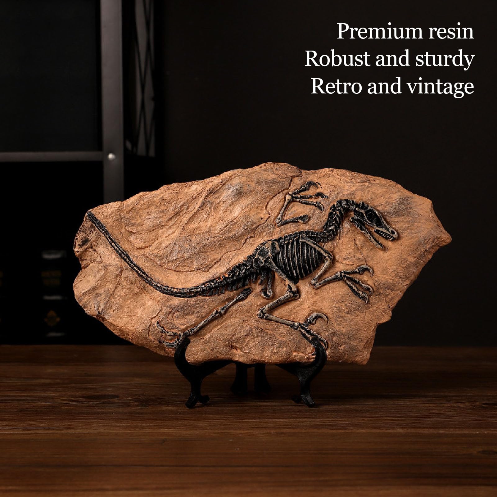 Dinosaur Skeleton Fossil Figure - High Simulation Resin Dinosaur Fossil Model for Home & Office Decor, Ideal for Educational Purpose and Unique Display, 33cm x 19.5cm x 11.5cm