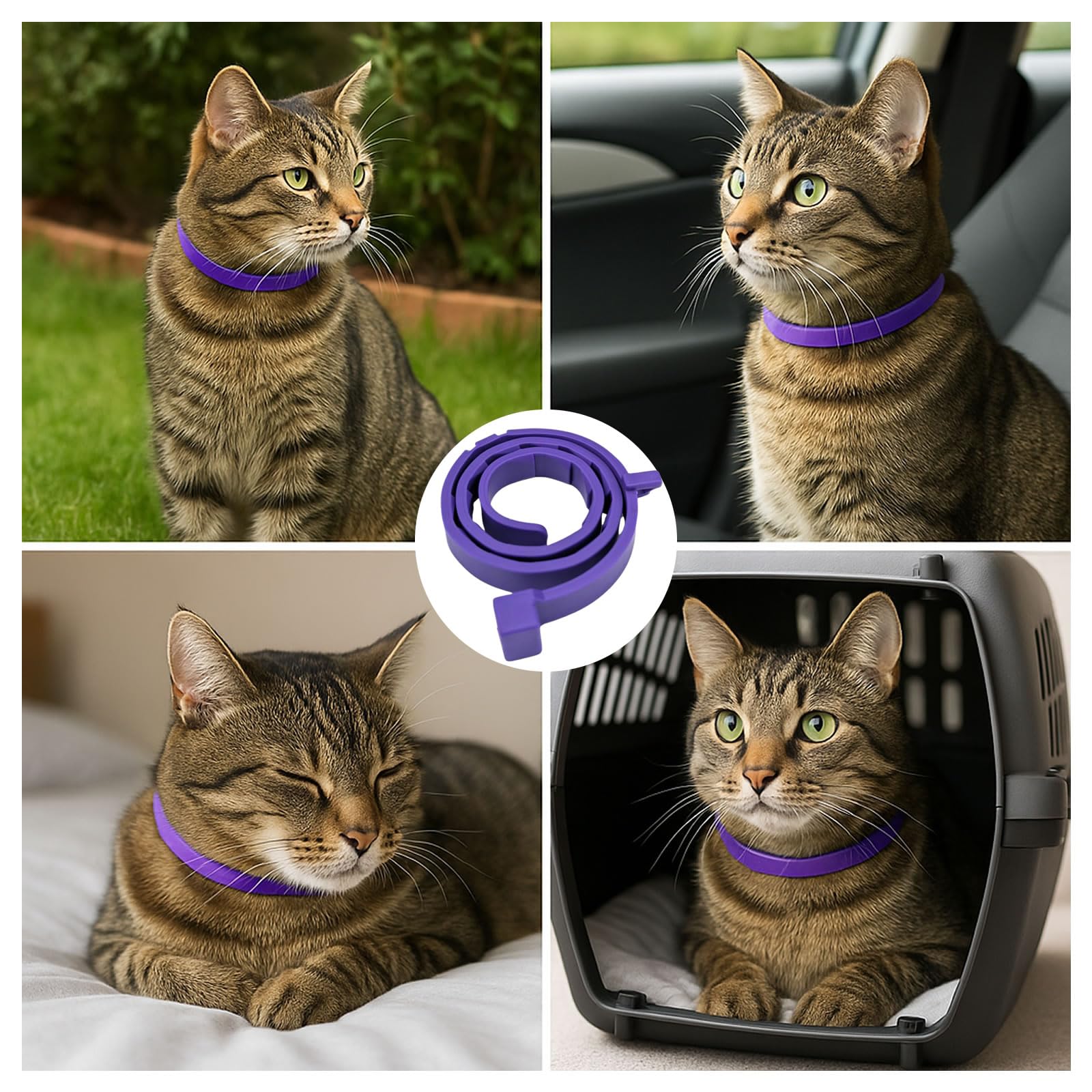 Confezione da 4 collari calmanti per gatti, supporto comportamentale con infuso di feromoni, clinicamente testato, antistress e ansia per gatti, impermeabile, regolabile, comfort di lunga