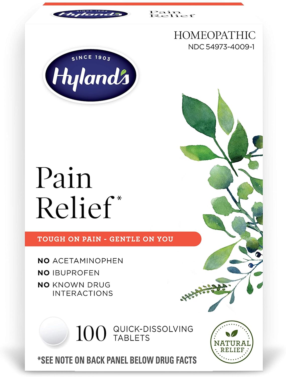 Hyland's Natural Pain Relief for Neck Back Shoulder Muscle and Joint Tablets, 100 Count : Health & Household