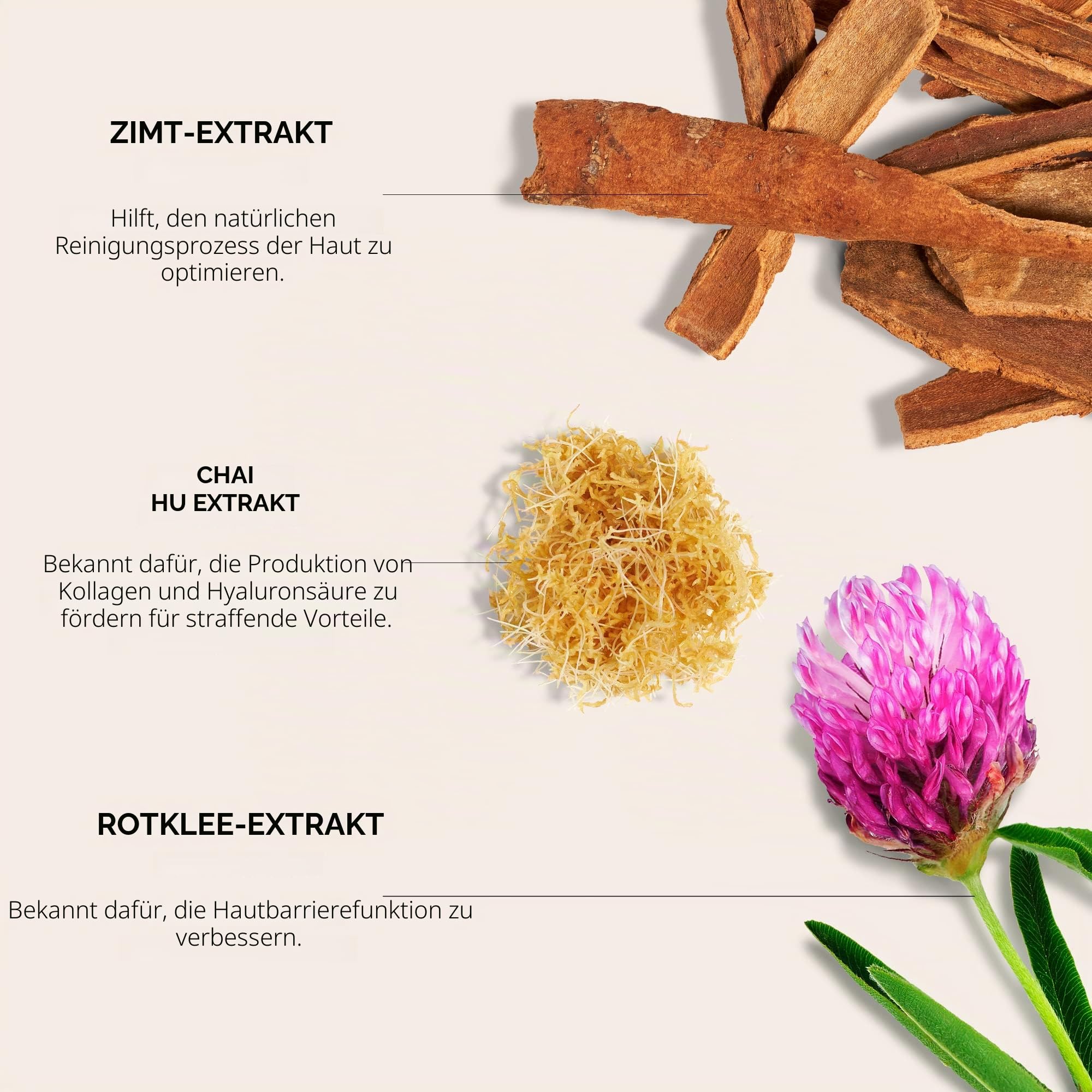 Shiseido I Bio-Performance I Skin Filler Face Serum Duo | Anti-Falten Tag- und Nachtserum I Hyaluronsäure-Technologie für Jugendliche Aufgepolsterte Haut I Filler-Effekt für Zuhause