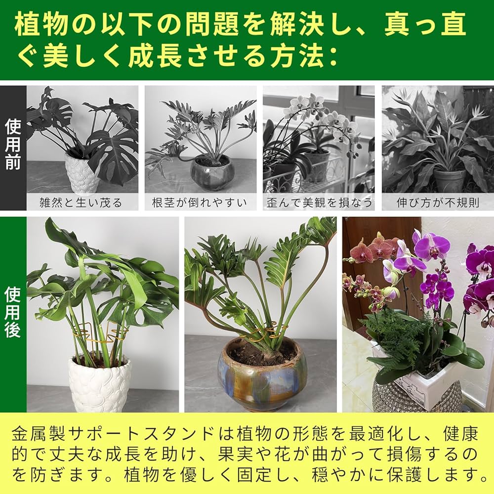 モンステラ 鉄スタンド　黒 モンステラ 鉄スタンド 黒 モンステラ 鉄スタンド 黒