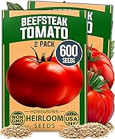 Vista 15 de HOME GROWN Semillas de eneldo sin OMG para plantar 1,014 ramos de semillas de eneldo y semillas de hierbas tradicionales para plantar al aire libre