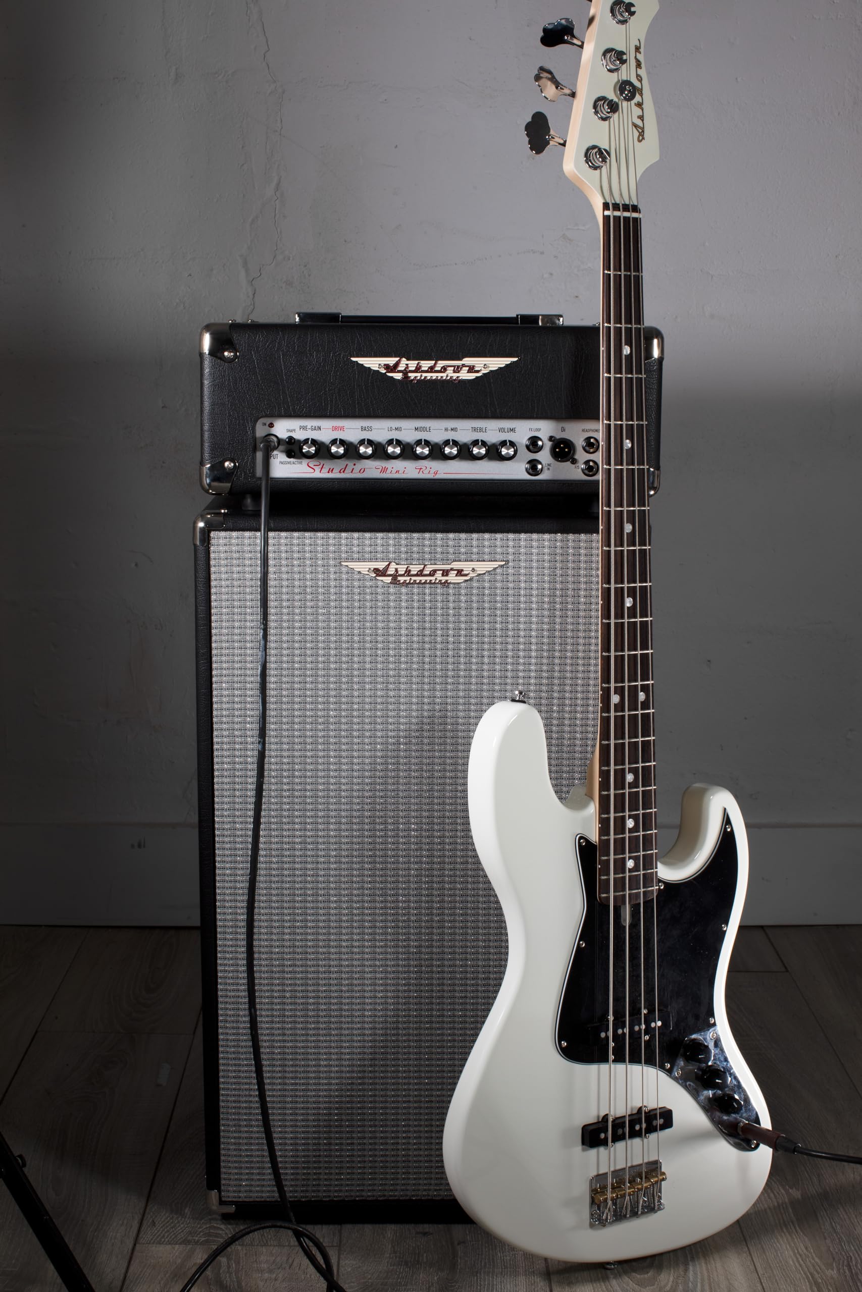 Amazon.com: Ashdown Studio MiniRig 2 x 10-inch 250-watt Bass Head