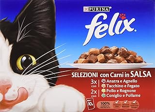 Felix Conejo