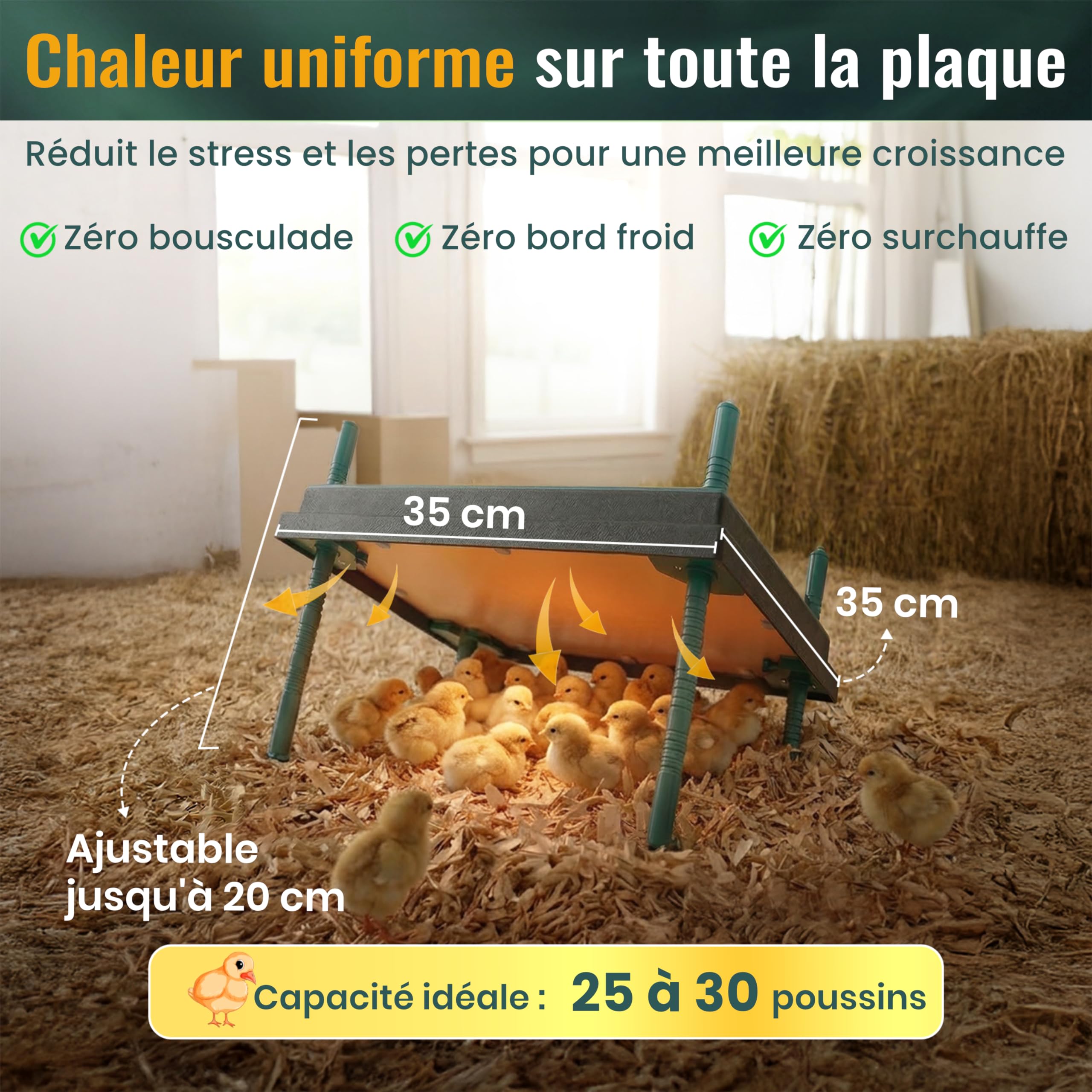Dural’s® Plaque Chauffante Poussin 35x35 cm - 80% d'Économie d'Énergie (30W) - Chaleur Douce Anti-Stress - Couvercle de Protection Inclus - Hauteur Réglable (25-30 Poussins) + E-Book