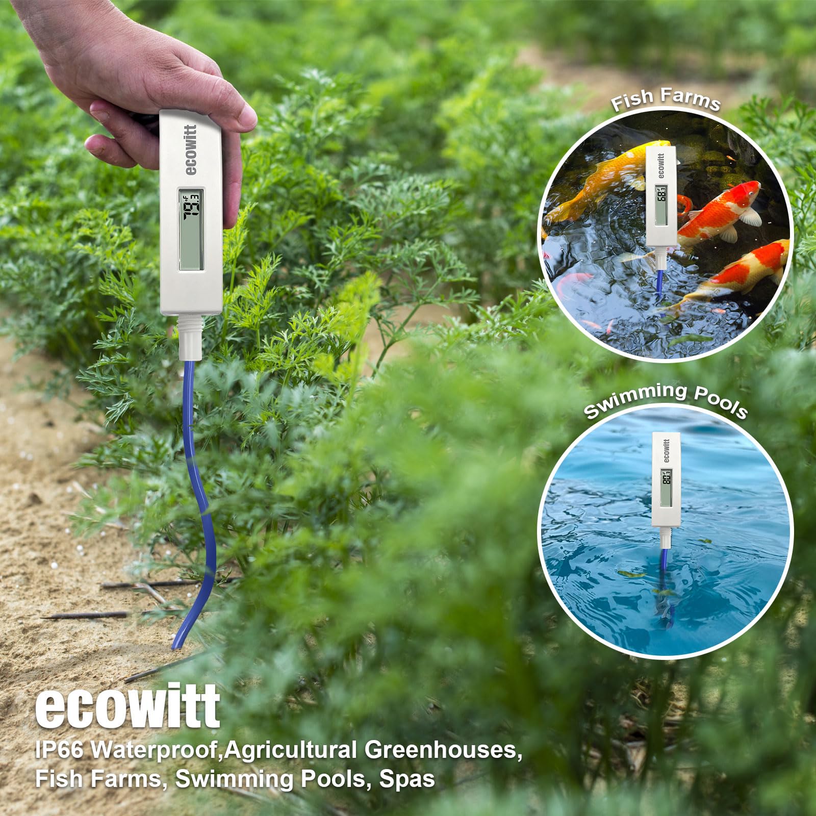 ECOWITT WN34D Termometro da piscina per la casa, sensore digitale di temperatura dell'acqua con display LCD, impermeabile, sensore con cavo da 3,28 piedi per piscine, vasche idromassaggio