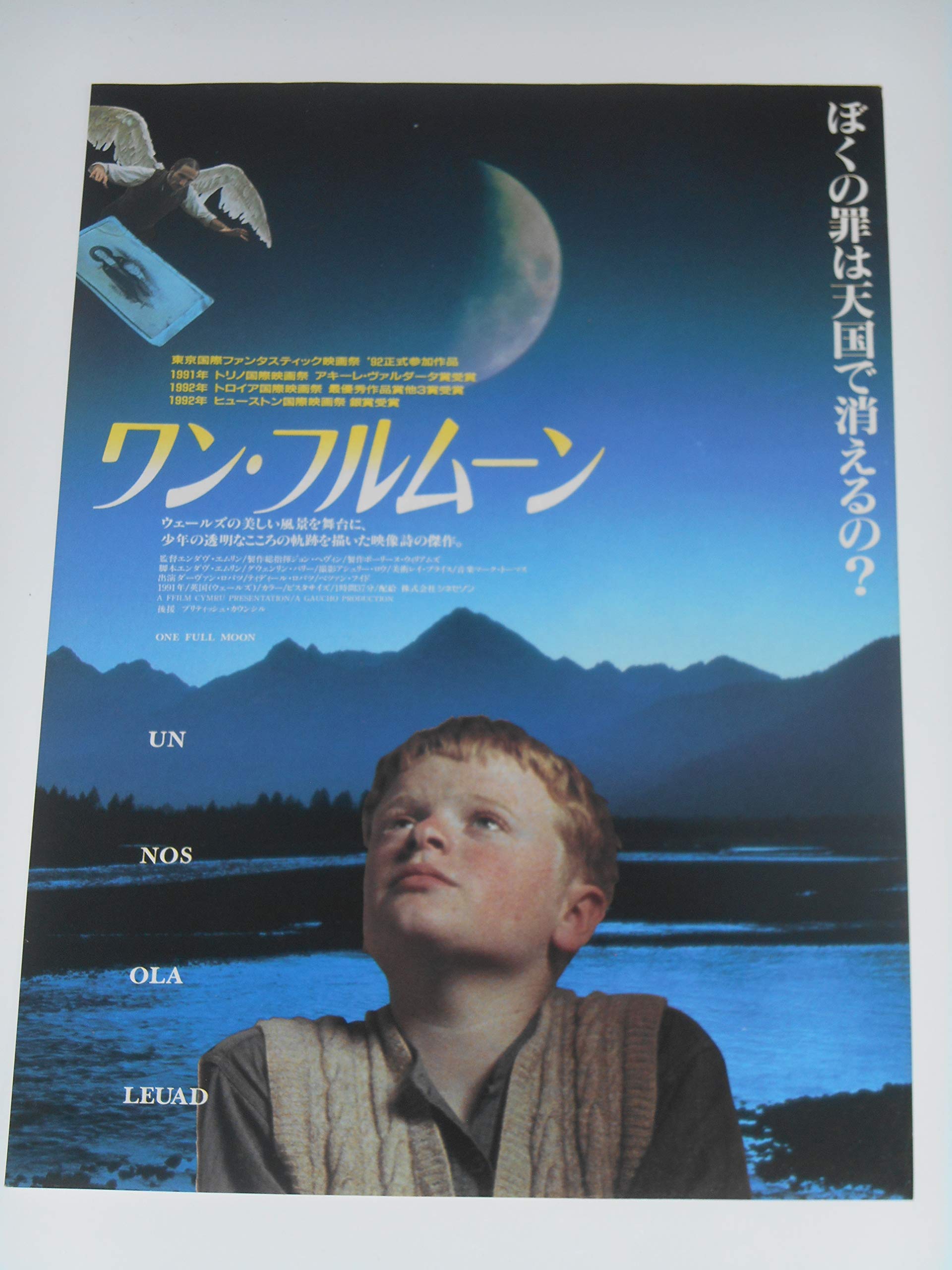 Amazon.co.jp: 映画チラシ ワン・フルムーン エンダヴ・エムリン監督 