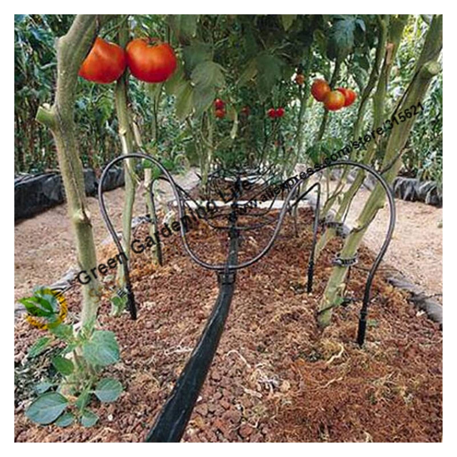 Sistema di irrigazione a pioggia for prato da giardino 25 set di 4 kit di lancio for irrigazione a goccia a testa(Black Straight)