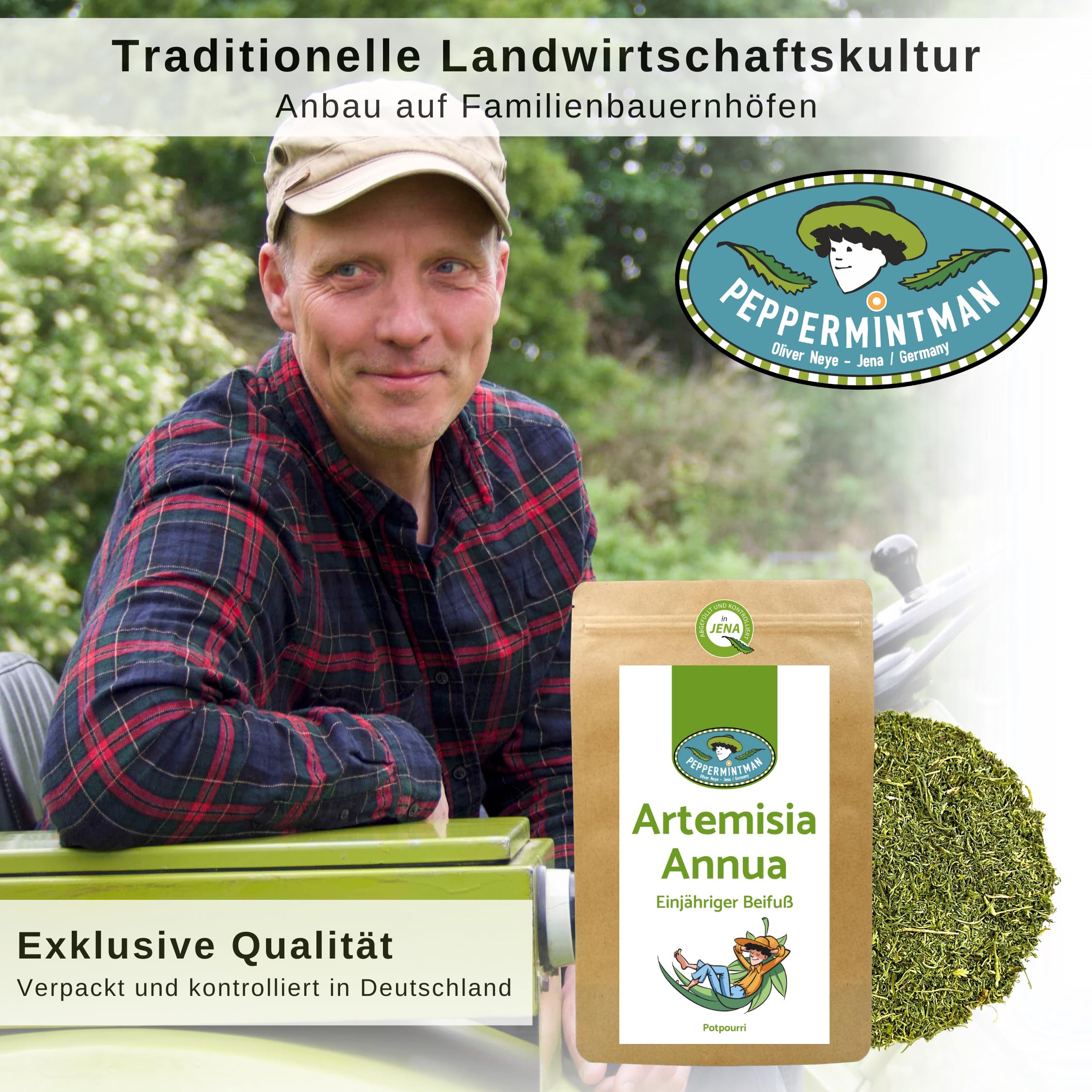 Artemisia Annua Mandala, artemisia annuale, piante madri con 1% di artemisinina, coltivazione tedesca, raccolta a mano, ottima qualità di PeppermintMan (500 g)