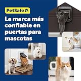 Ver la foto 8