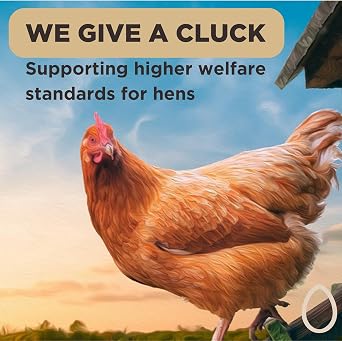 Eazy Egg Free Range Egg Whites Liquid 3 x 1L | Made in the UK from Eggs Free Range | Ambient Storage & 6 Month Shelf Life | For Baking, Shakes, Omelettes & Cocktails