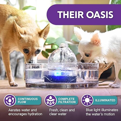 Miniatura 2 de Brook Fuente de vidrio para mascotas (90 oz2.7 L) - Fuente de agua para gatos y perros - Fuente de vidrio para gatos y dispensador de agua