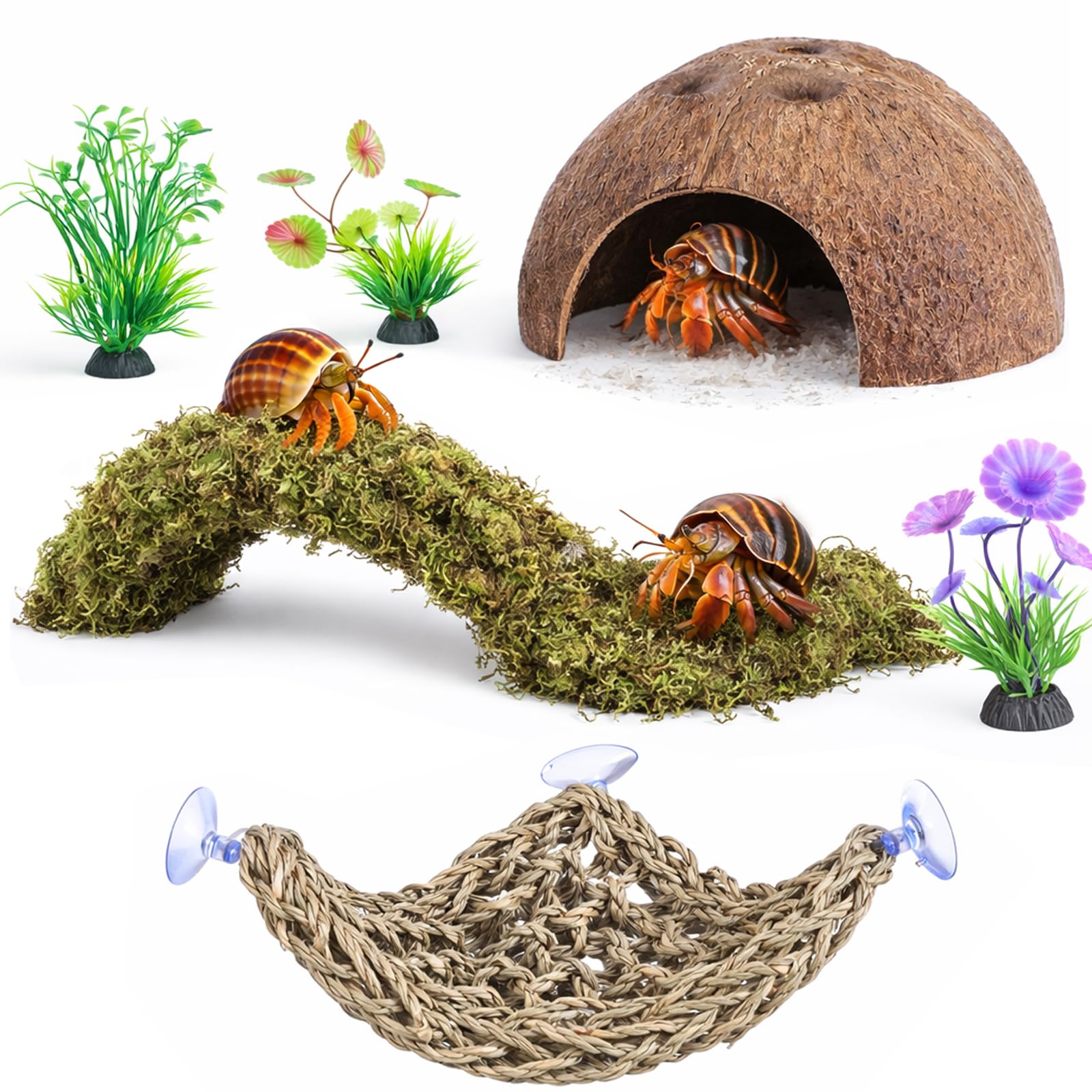 HERCOCCI HERCCOCCI Hermit Crab Accessories - habitat decor | Mubboo