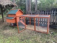 Review Image by Shelley Shelley