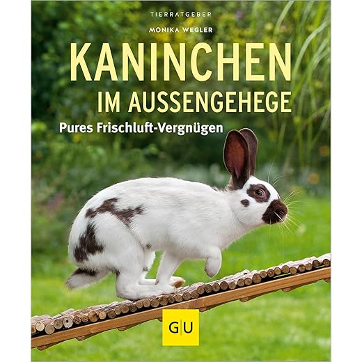 Kaninchen im Außengehege: Pures Frischluft-Vergnügen