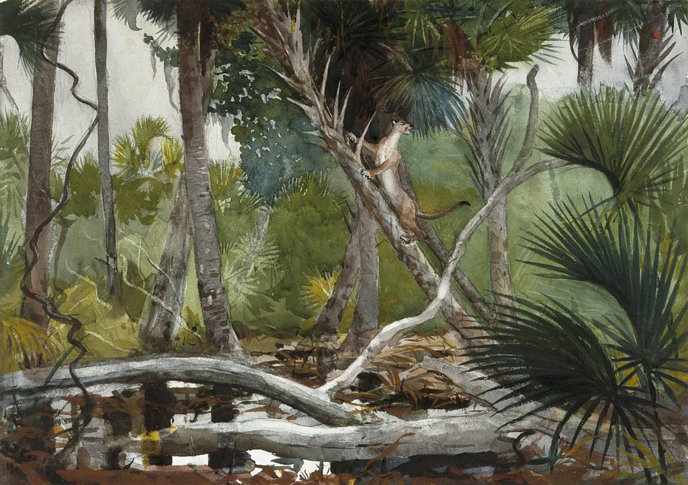 ARTXLXXBN Famous Art Print Poster Vintage Wall Art in the Jungle Florida by Winslow Homer Canvas Art Poster for Home Decor 60x90cm