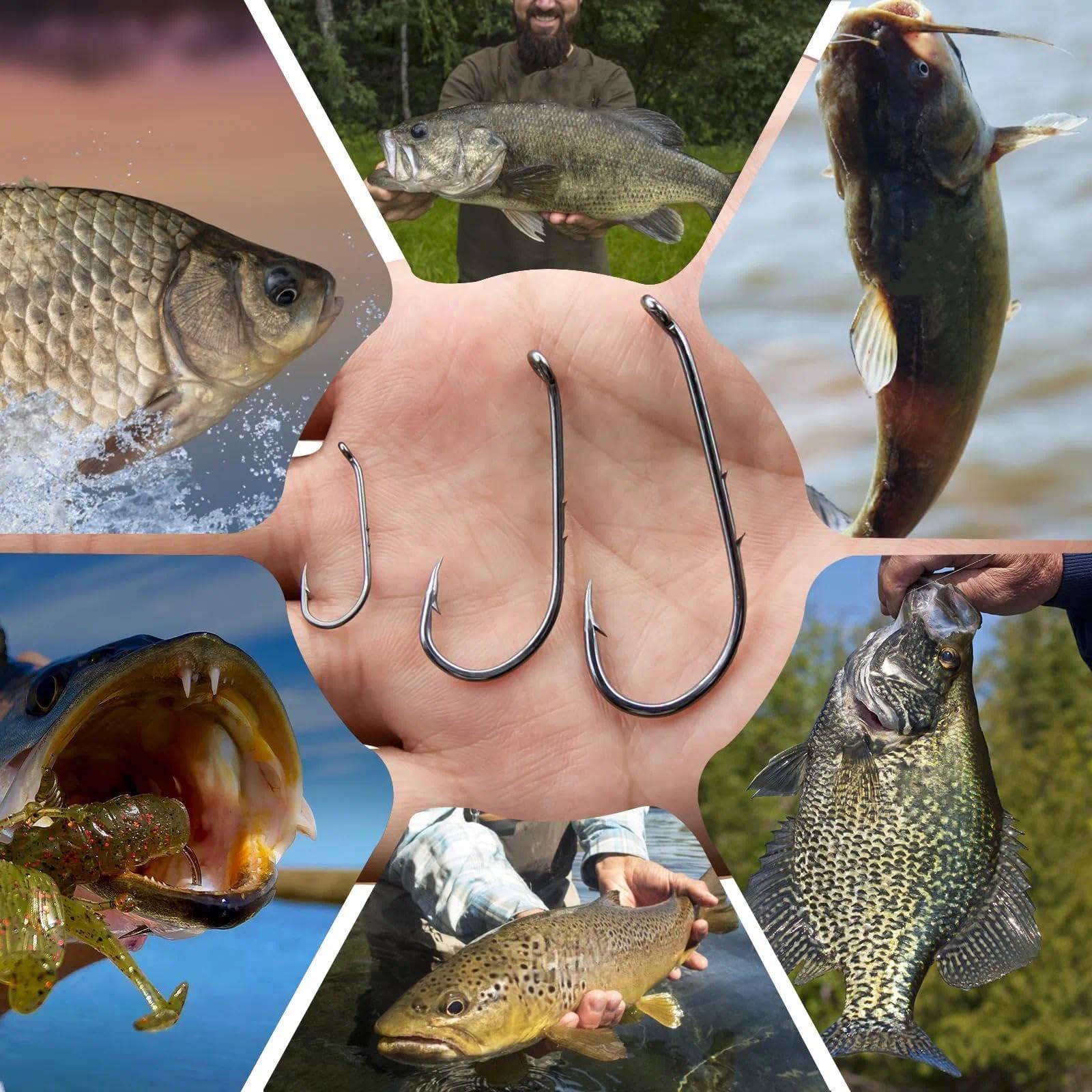 Natufish Baitholder - Ganci da pesca per esche da pesca, offset/doppio spinato/gambo lungo/occhio verso il basso, per esche vive morbide in acqua salata, 50 pezzi