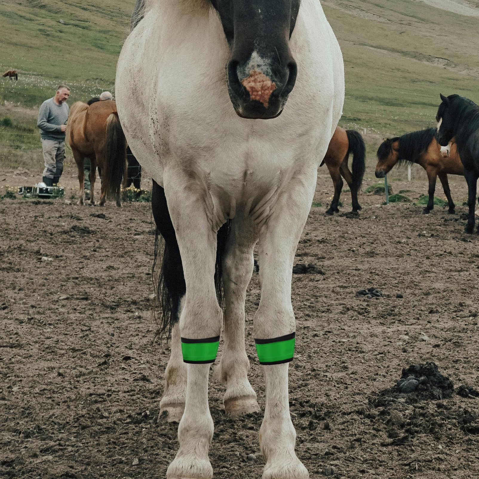 4 Stück LED Leuchtende Pferdebeinbänder, Hohe Sichtbarkeit, Reflektierende Riemen, Nachtsicherheitsausrüstung Für Reiten, Reitausrüstung