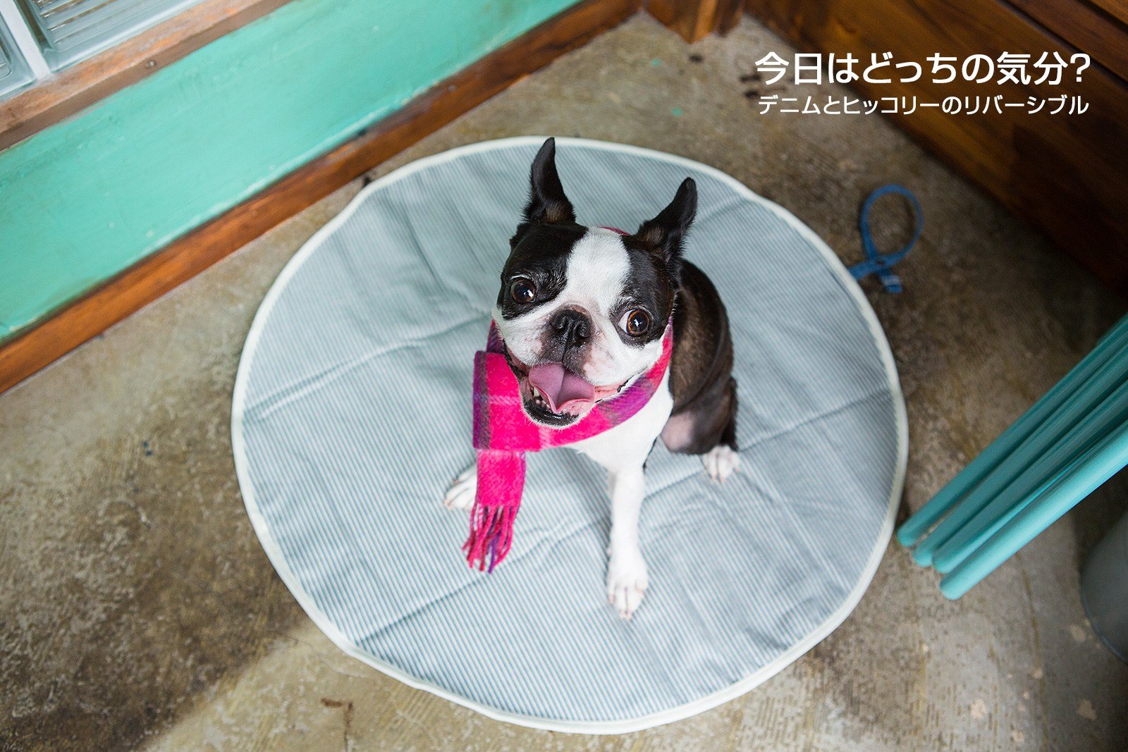 Amazon | 犬 デニム カフェマット おしゃれ ペット かわいい お出かけ
