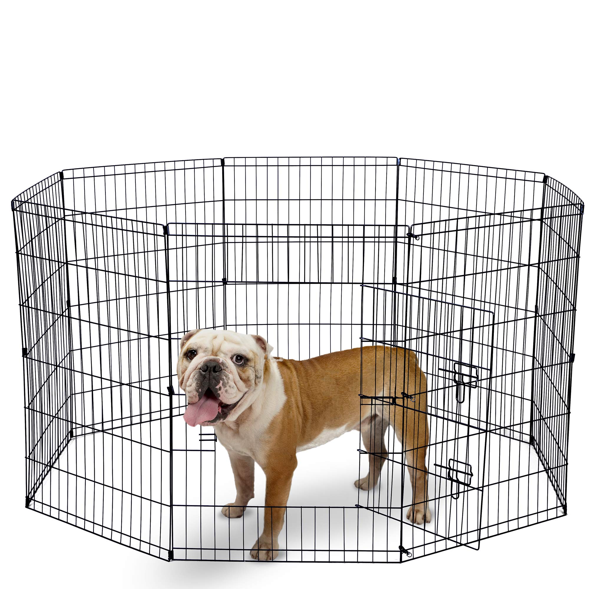 What Size Exercise Pen Should I Get For My Dog