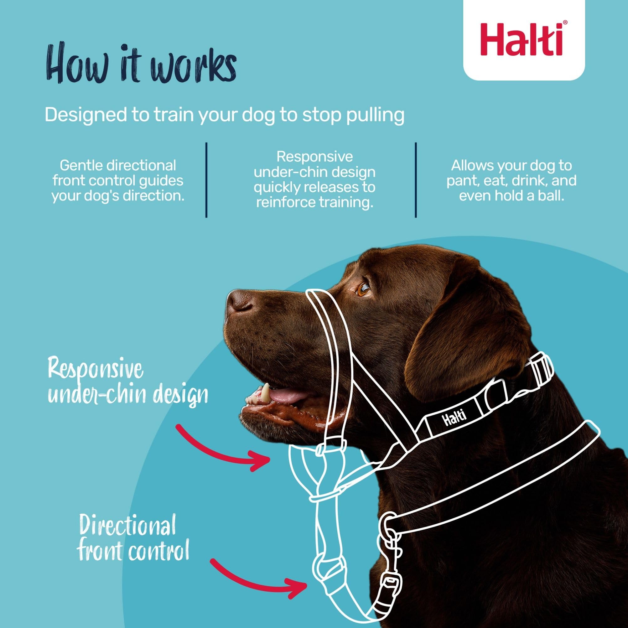 Licol HALTI - pour Que Votre Chien arrête de Tirer sur sa Laisse, Partie entièrement matelassée sur Le museau, Colliers Anti-Traction pour Chiens de Taille Moyenne (Taille 3, Brun Noisette)